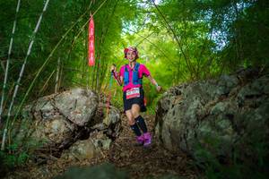 BIB: 
                            <button type="button" onclick="openModal(22089186)" class="btn btn-primary btn-sm float-right btn-popup" data-toggle="modal" data-target=".modal-high-quality">
                        <i class="fas fa-shopping-cart"></i> Add to Cart
                    </button>
                                            <button type="button" onclick="isThisMe(22089186, true)" class="btn btn-success btn-sm float-right btn-popup btn-isme hidden" data-toggle="tooltip" data-placement="bottom" title="นี่คือรูปของคุณใช่ไหม คลิกที่นี่เพื่อเอาเข้าอัลบั้ม">
                        <i class="fas fa-plus"></i> Add to album
                    </button>
                    <button type="button" onclick="isThisMe(22089186, false)" class="btn btn-warning btn-sm float-right btn-popup btn-isnotme hidden">
                        <i class="fas fa-ban"></i> Remove from album
                    </button>